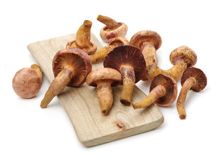 Fototapeta premium boletus mushrooms on white background