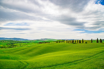 トスカーナの風景