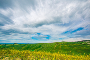 Obraz premium トスカーナの風景