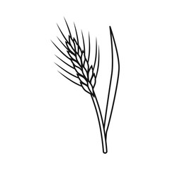Vector design of barley and sheaf symbol. Set of barley and crop vector icon for stock.