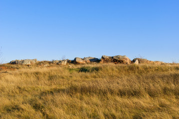Obraz premium Landscape steppe of the Rostov region