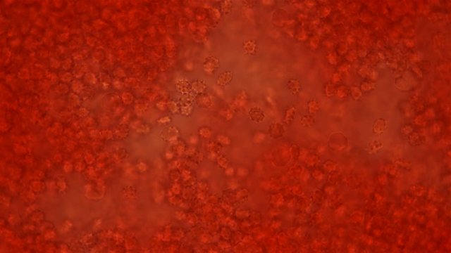 Blood under a microscope, the movement of spur-shaped red blood cells, which indicates a human disease, in most cases are formed due to smear artifact 4K