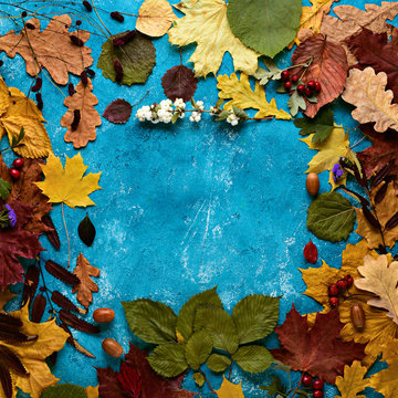 Autumn composition. Frame of fallen green, yellow, orange and red leaves on a turquoise background. Autumn, leaf fall. Flat position, top view, copy space, square