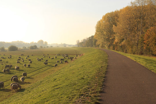 Herbstlicher Elster-Radweg bei Schkeuditz
