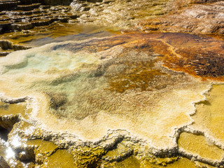 Mammoth Hot Springs