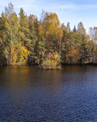 Finnish forest and lake landscape