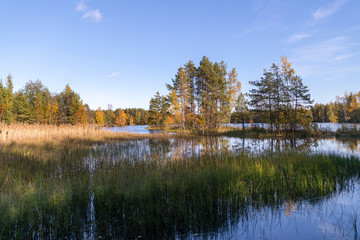 Finnish forest and lake landscape