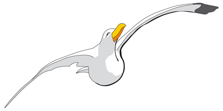 M&ouml;ve