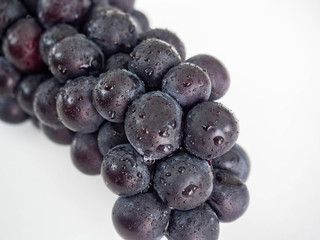 Black grape with drop of water,Fruit for health in Asian,Isolated on white background