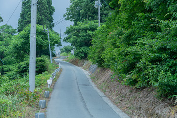 田舎の道