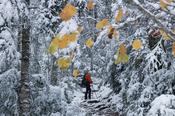 woman with red jacket walking along a path inside a snowy forest through orange leaves