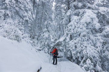 woman standing with red jacket inside a snowy forest