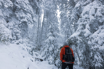 woman with red jacket looking at a snowy forest
