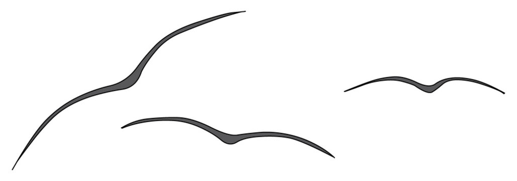 Seev&ouml;gel