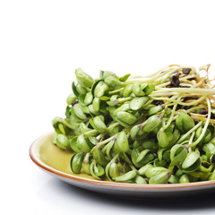 Black bean sprouts on white background