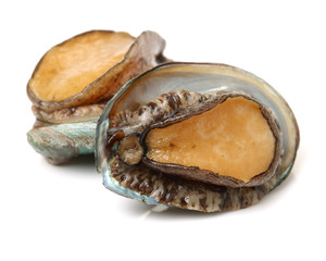 Raw abalones on the white background 