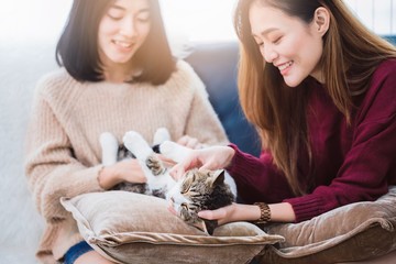 Young beautiful Asian women lesbian couple lover playing cute cat pet in living room at home with smiling face.Concept of LGBT sexuality with happy lifestyle together.