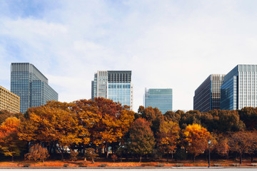 Obraz premium 秋の東京