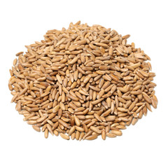 Pine nuts on white background