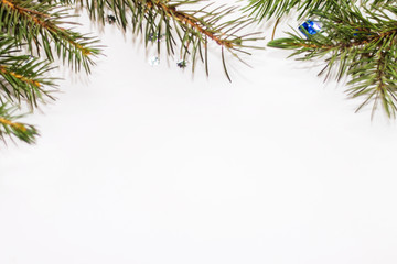 Obraz premium Green fir branches closeup on white background