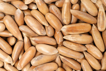 Pine nuts on white background