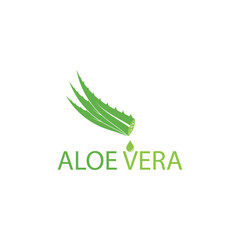 Aloe vera logo vector illustration