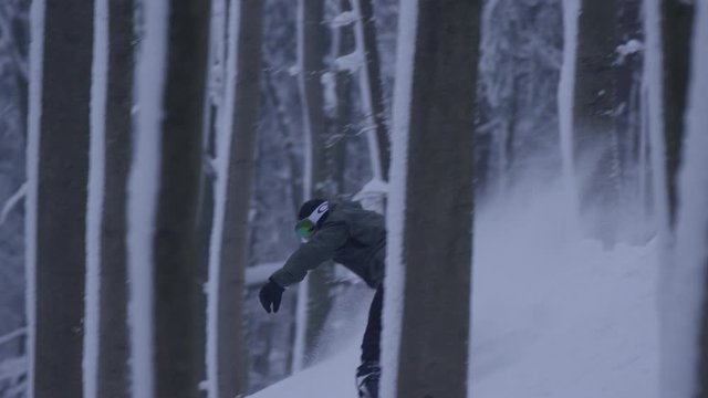 Freestyle Snowboarder im Tiefschnee f&auml;hrt mit hoher Geschwindigkeit bei D&auml;mmerung durch einen dichten Tannenwald