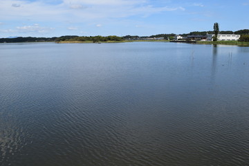 牛久沼（うしくぬま）／ 茨城県の牛久沼は小規模な漁業のほか、その水は主に農業用水として活用されています。また、週末などは多くの釣り人たちで賑わっています。沼に近い牛久市と同じ名前ですが、全域が龍ケ崎市の区域内です。
