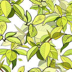 Seamless pattern of branches with green leaves