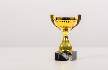 Gold trophy with marble base on light grey background.
