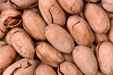 Pecans background