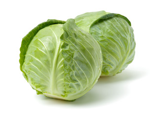 Fototapeta premium cabbage on white background