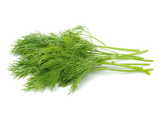 Fennel bunch on white background