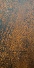 grunge rusted metal texture, rust and oxidized metal background