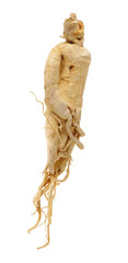Dried Korean Ginseng on white background
