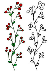 vector realistic hand drawn holly, ilex branch with berry , mistletoe. Christmas, new year holiday celebration symbol. Isolated illustration on a white background.