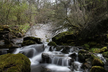 waterfall in forest