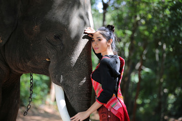Naklejka premium Beautiful young Asian woman dressed in traditional native dress and elephant in forest of village Surin Thailand