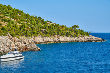 Beaches of Hvar, Croatia; turquoise waters, green pine trees and rocks                               