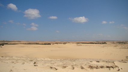 Fototapeta na wymiar The desert and blue sky