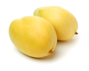 Mango on a white background