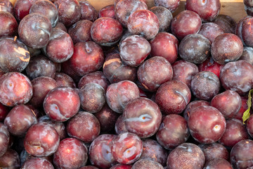 photo of all red plums