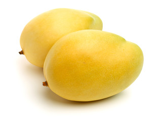 Mango on a white background