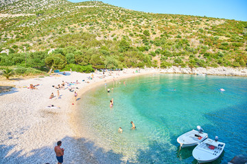 Beaches of Hvar, Croatia; turquoise waters, green pine trees and rocks                                - obrazy, fototapety, plakaty