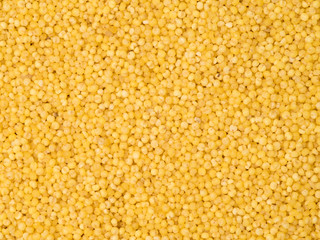 Yellow Millet background