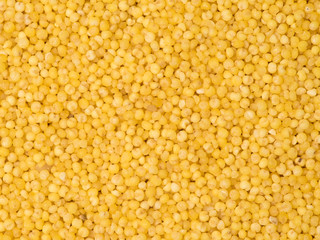 Yellow Millet background