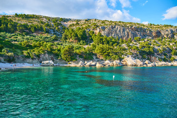 Beaches of Hvar, Croatia; turquoise waters, green pine trees and rocks                             ...