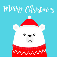 Merry Christmas. Polar white bear cub head face wearing red Santa hat knitted ugly sweater. Cute cartoon smiling baby character. Arctic animal. Flat design Winter background
