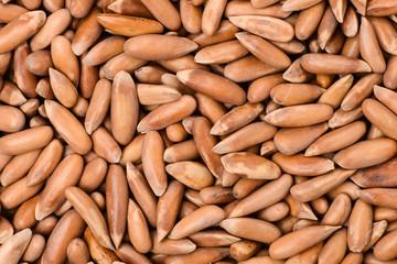 Pine nuts on white background