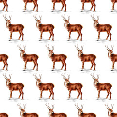 Christmas Seamless Pattern with Reindeer. Winter Background 